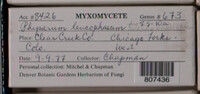 Image Associated With the Occurence